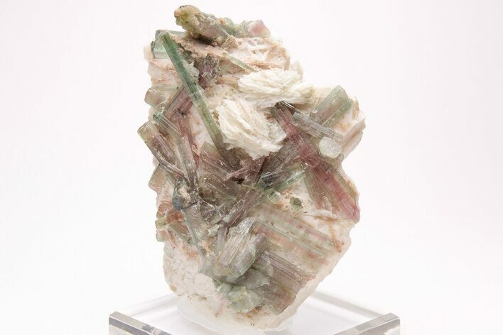 Bicolor Tourmaline (Elbaite) Crystals on Feldspar - Brazil #206278